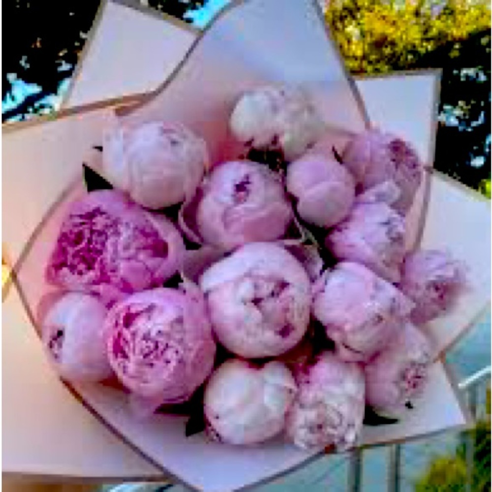 Meet your Posher, Maryam